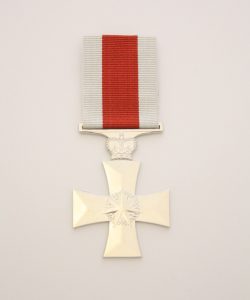 Distinguished Service Cross 1991
