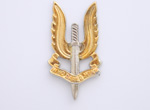 Special Air Service Regiment