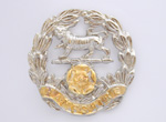 Hampshire Regiment