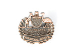 Operational Service Badge Civil