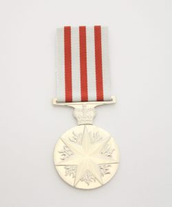 Distinguished Service Medal 1991