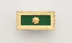 Unit Citation For Gallantry