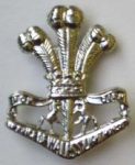 Prince Of Wales Light Horse Hat Badge