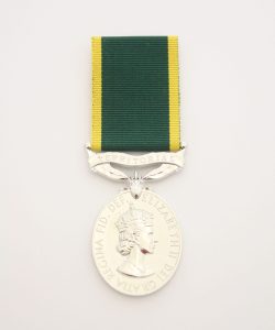Efficiency Medal 'Territorial'