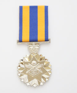 Defence Force Service Medal