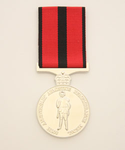 Armistice Remembrance Medal